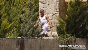cris3